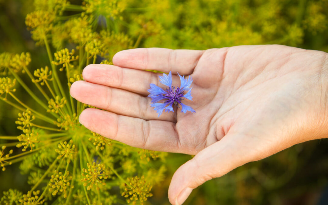 Workshop Werk en Vitaliteit in de Week van de Vitaliteit